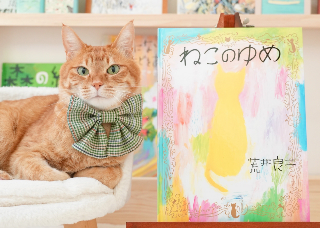 ねこ撰｜vol.1　絵本『ねこのゆめ』と、新緑の保多織