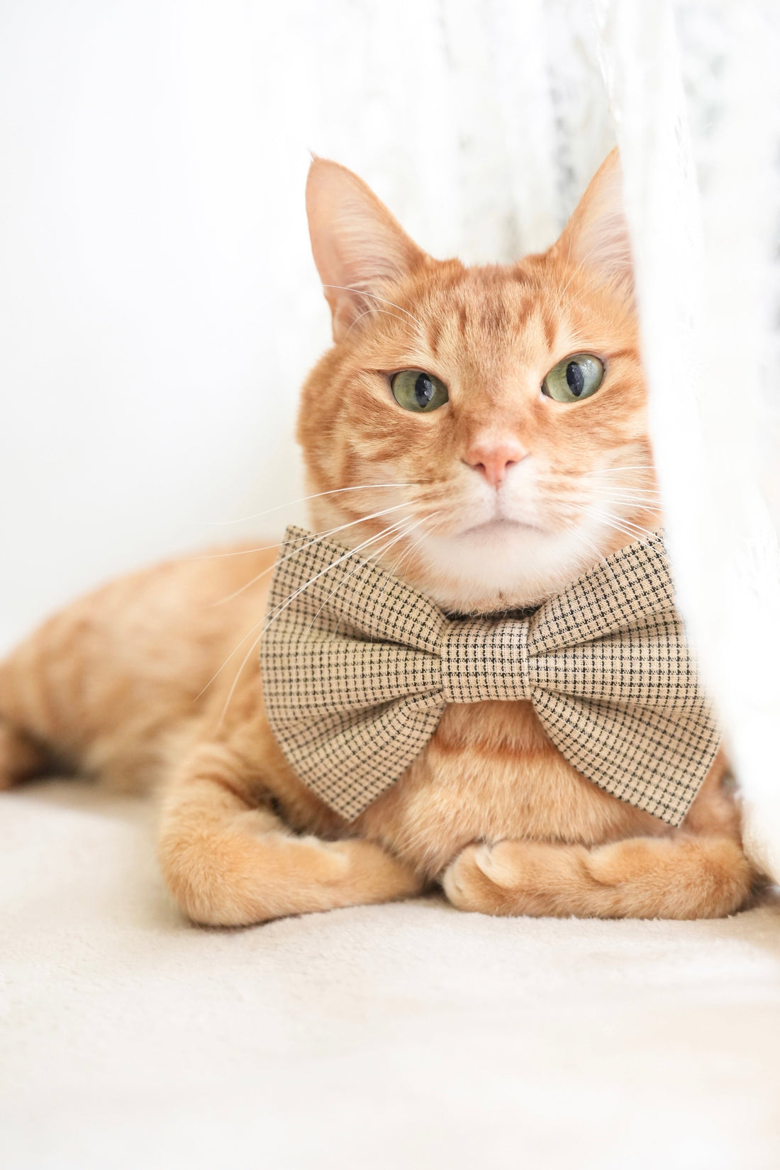 共同投稿の承認の仕方と共同投稿の見え方｜インスタグラム