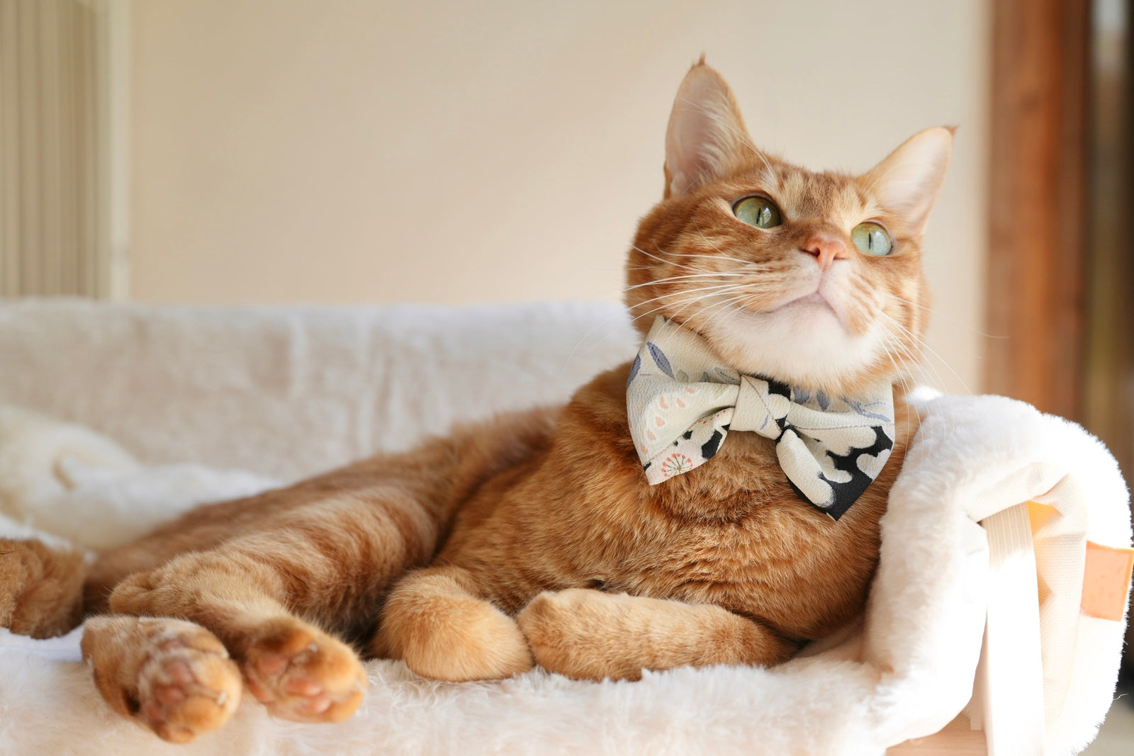 Vol.2 絹のアイテム