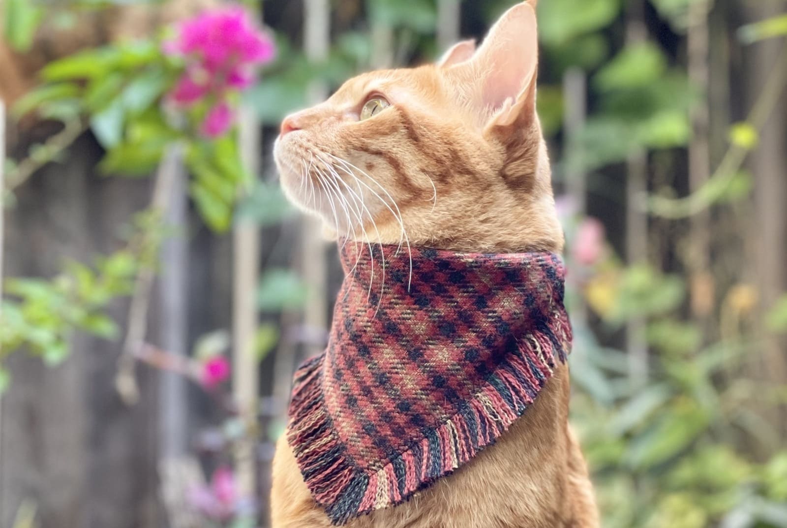 1章　布にふれた日