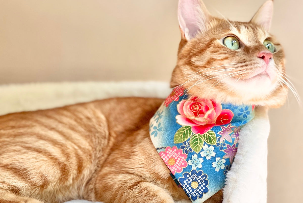 エルエルポウズが大切にしていること：あなただけの、心に刻まれる体験を