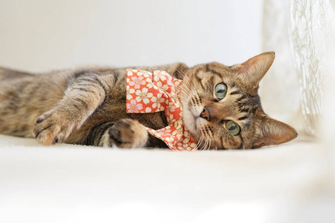 投稿写真にショップや商品をタグ付けする方法｜インスタグラム