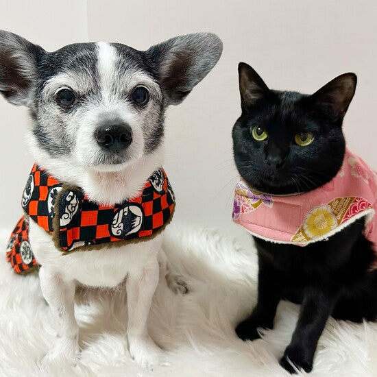 アンバサダー＠a8__p5