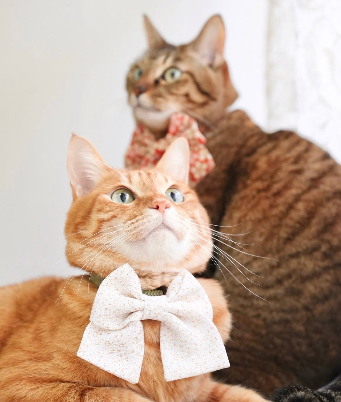 投稿後にタイアップ投稿ラベルを追加する方法｜インスタグラム