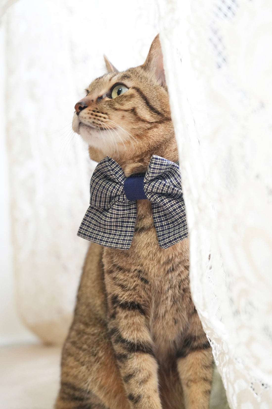 キャプションに迷ったら、ここから選んでください。｜インスタグラム