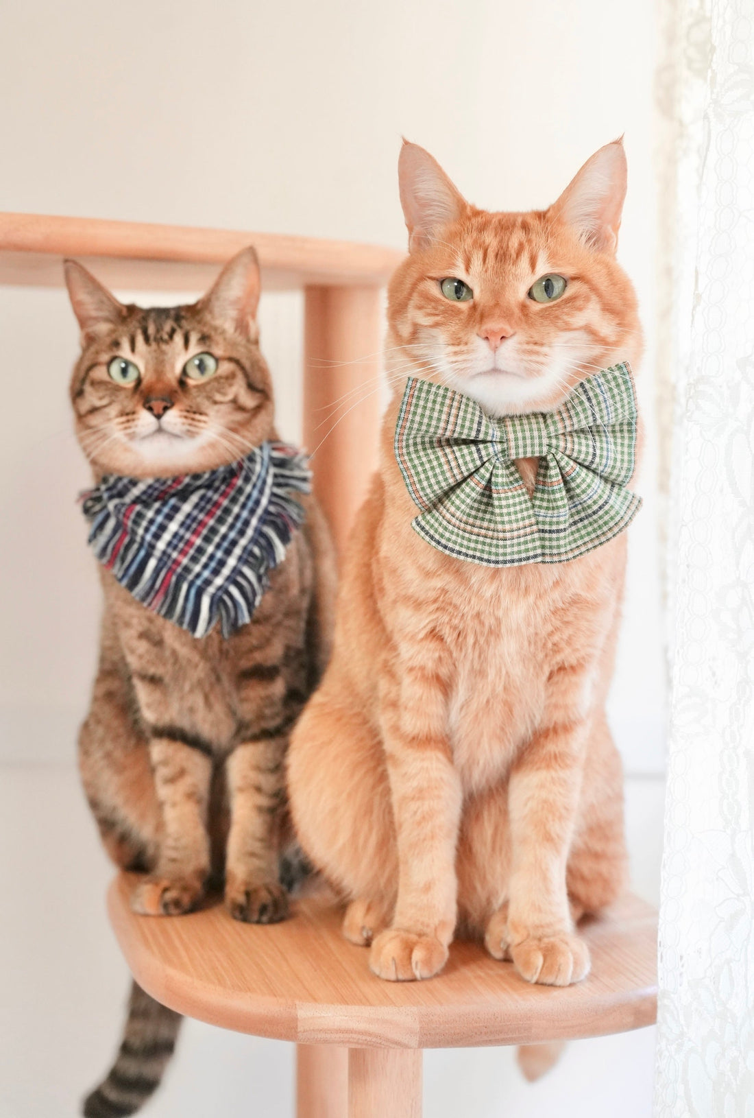 『なんかいい投稿」って、わたしにもできるかしら｜インスタグラム