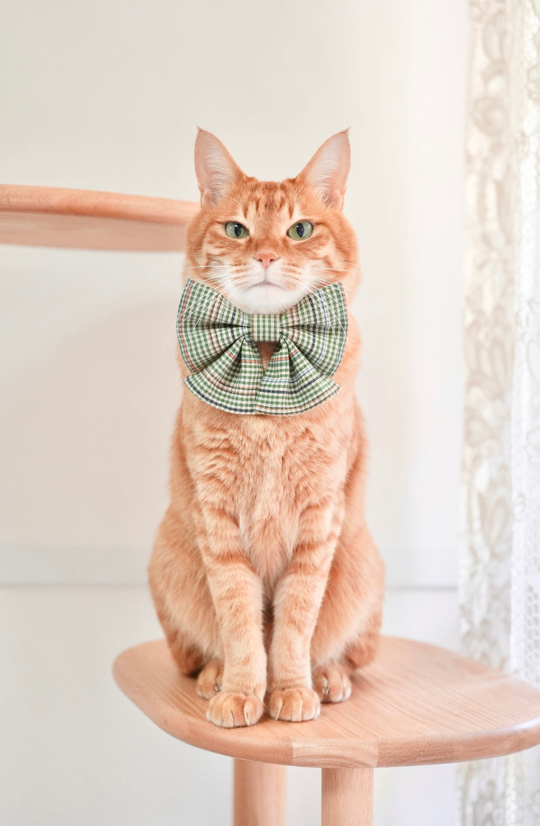 発信をアップデートして、もっと楽しく。｜インスタグラム