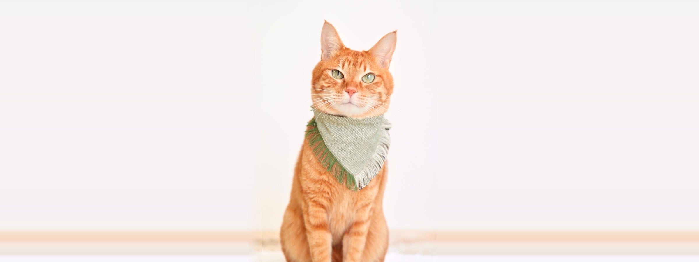 4章　かわいいが、とまらない　