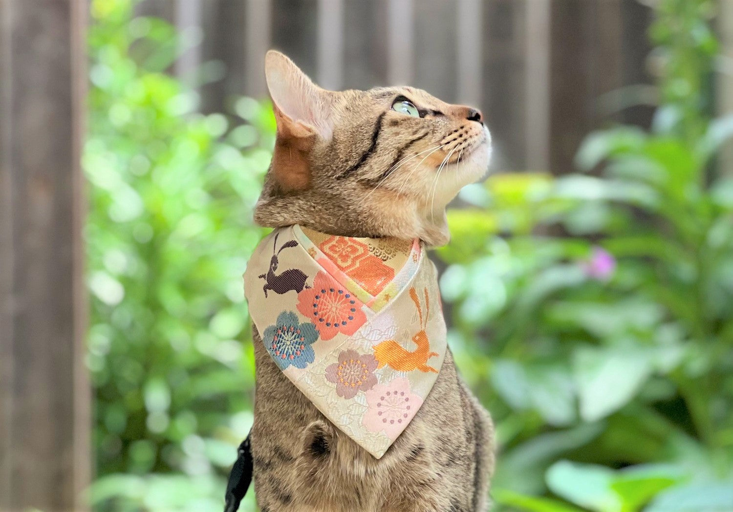 アンドエルシー　つなぎ　ねこ柄 楽天市場】オックス生地 くつろぎ猫 AP52108－2 手書き風 ねこ