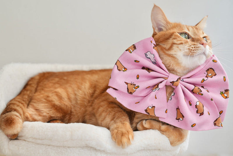 きっとウマくいく！福袋