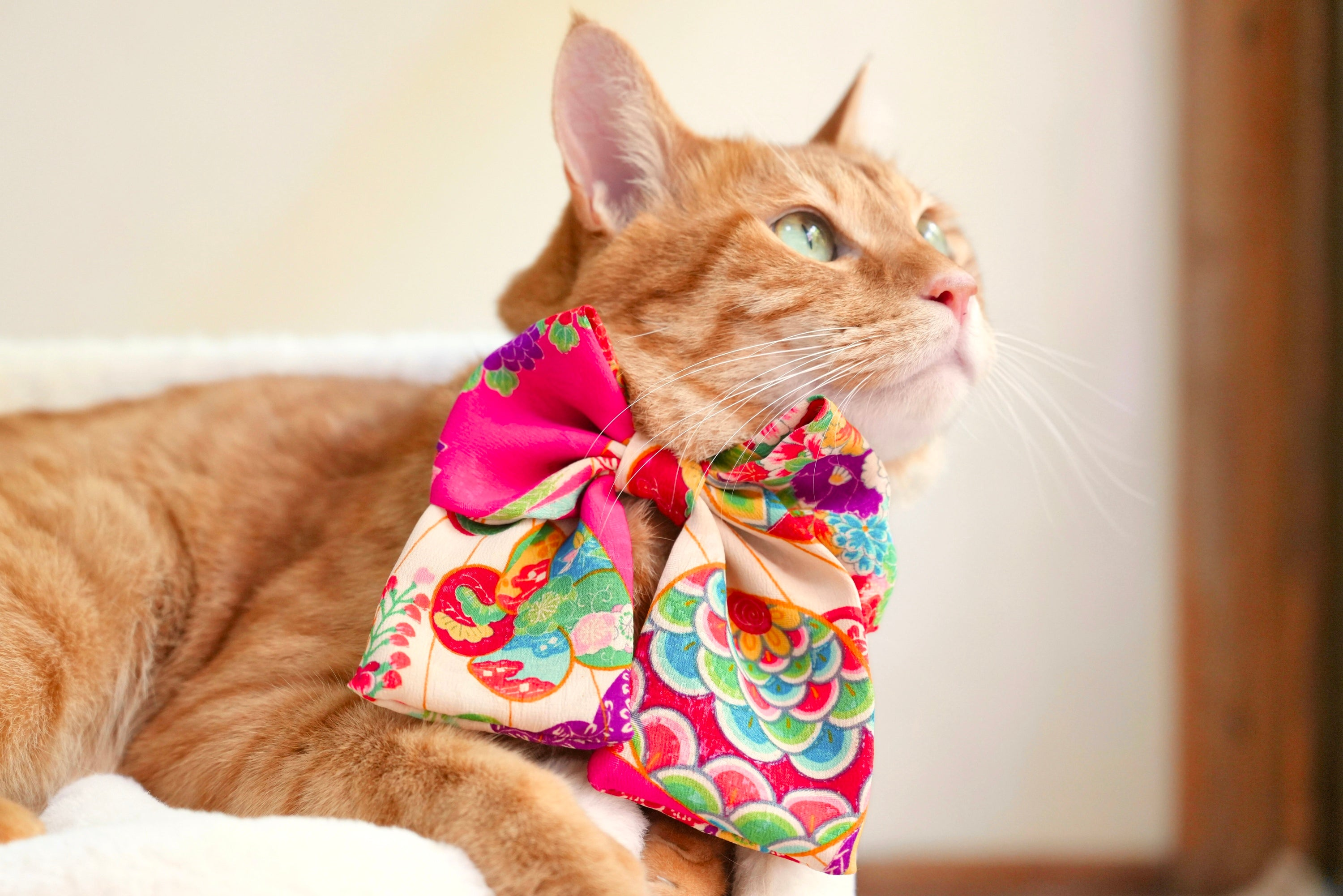 ハンドメイド 犬猫用 リバーシブルスタイ バンダナ 龍柄 達磨 ハンドメイド 犬猫用 リバーシブルスタイ バンダナ 龍柄 達磨