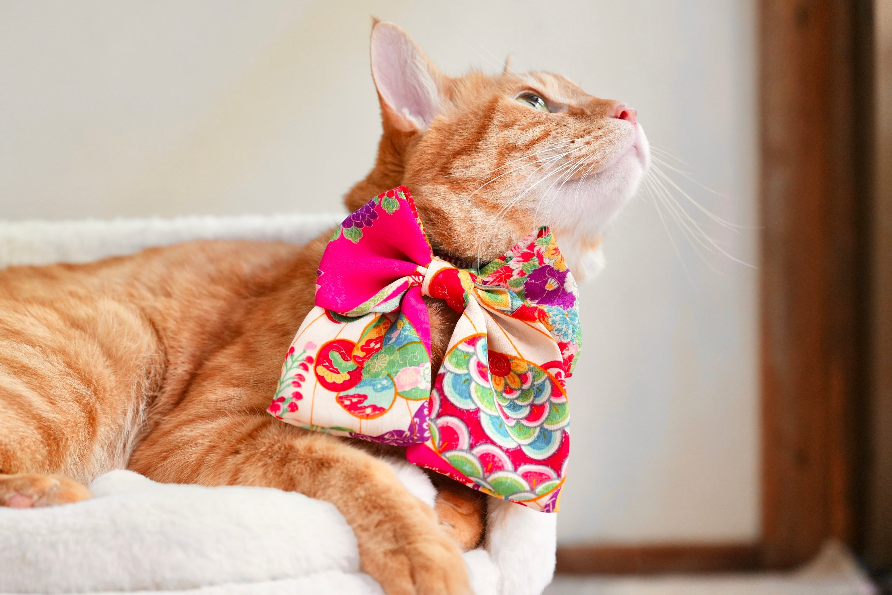 可憐 Little Charms