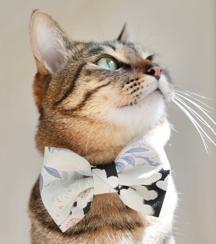 Cat & Dog Bowties | L&L Paws 犬と猫のバンダナ専門店