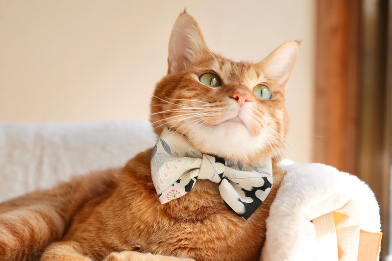 Cat & Dog Bowties | L&L Paws 犬と猫のバンダナ専門店