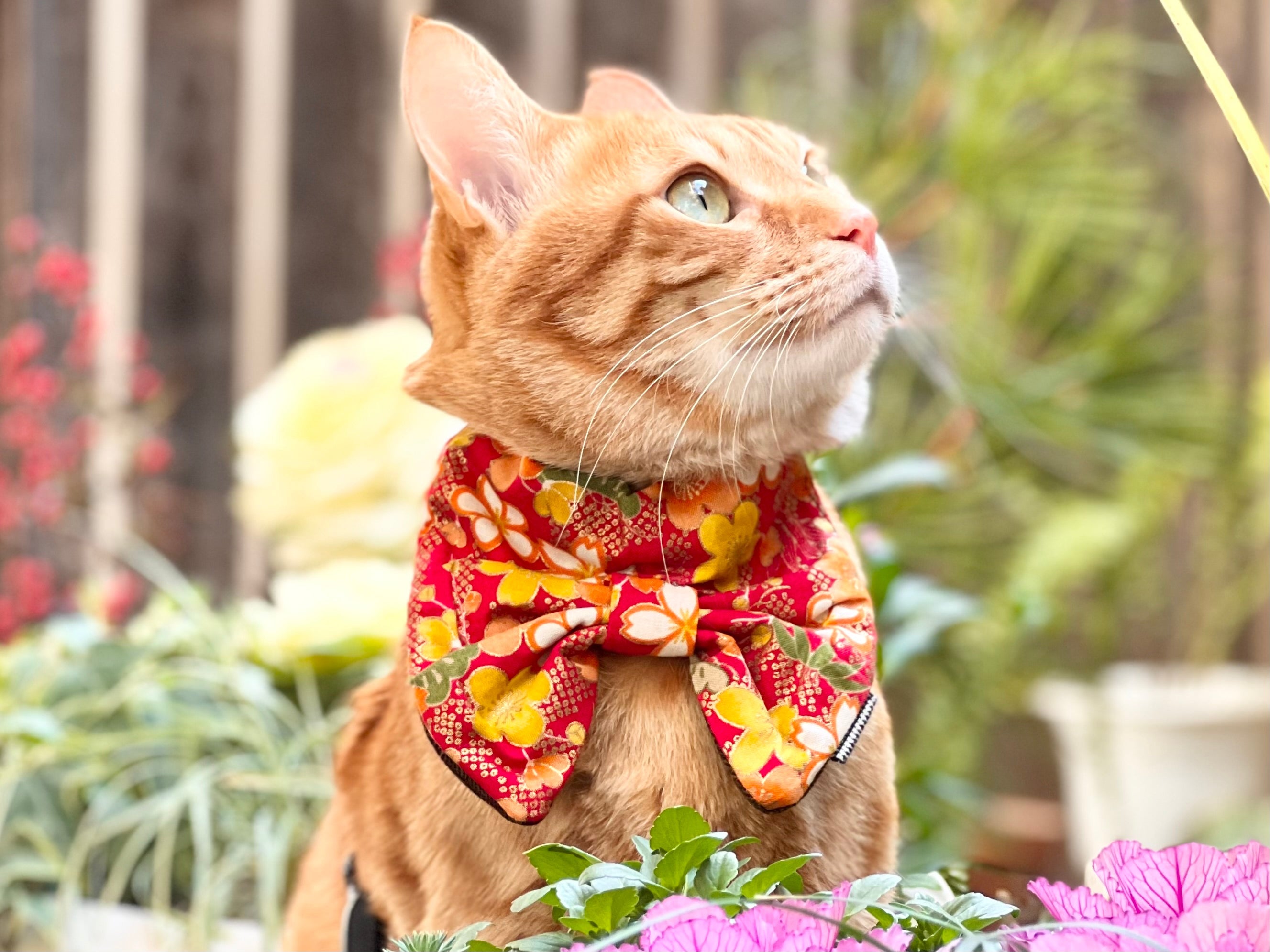 りぼんバンダナ