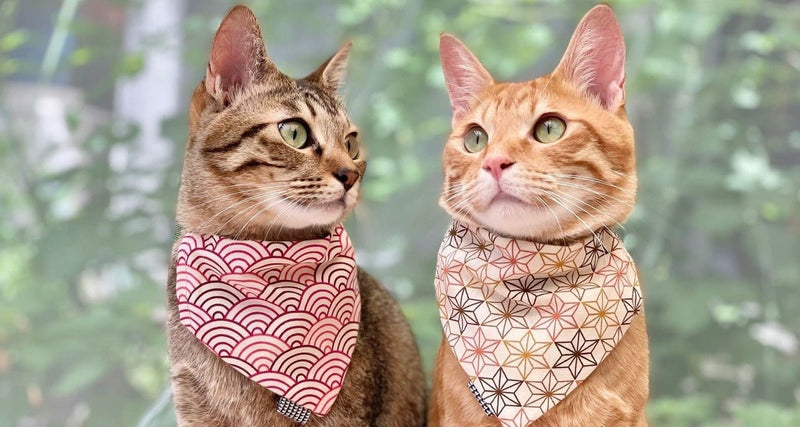 cat-bandanas | L&L Paws Japan