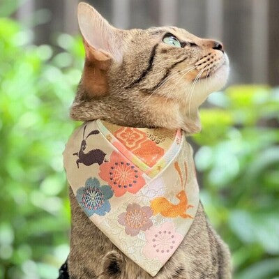 upcycle_cat_bandana | L&L Paws Japan