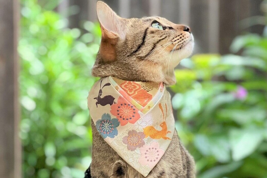 upcycle_cat_bandana | L&L Paws Japan