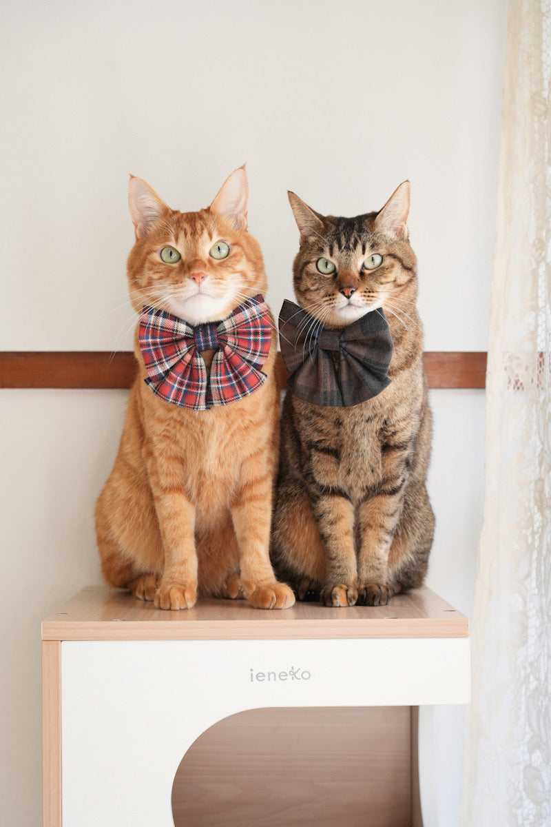 アンドエルシー　つなぎ　ねこ柄 ieneko × L&L PAWS コラボレーション | 和柄ペットアクセサリー – L&L