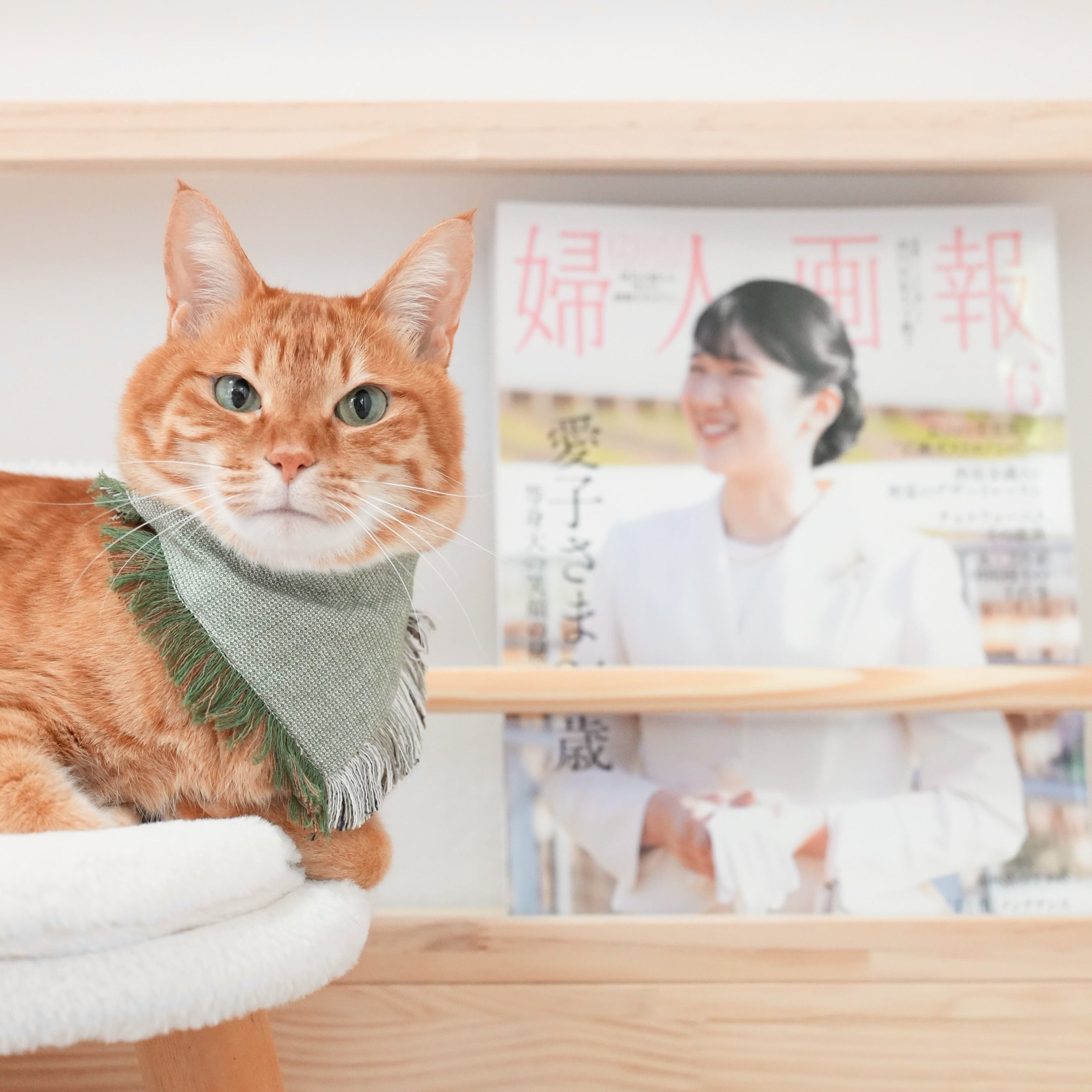 L&L PAWS JAPAN Japanese Bandanas Online Shop for Pets Cats and