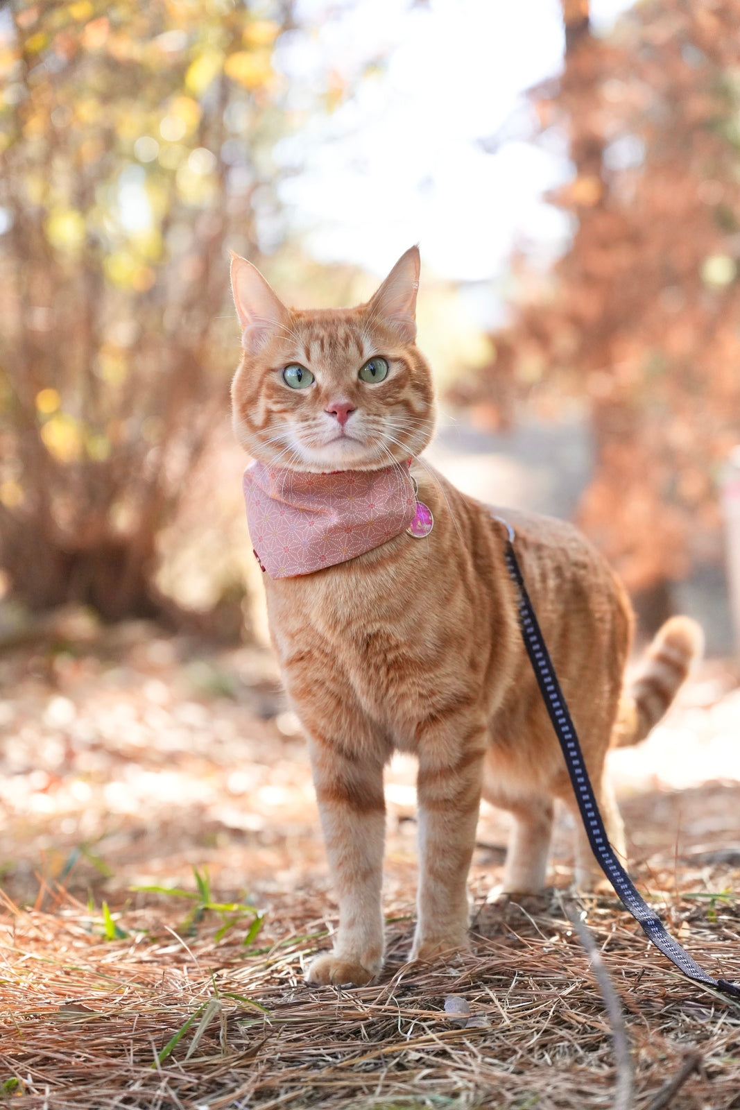 DSC02630_Original (1) (1).jpg