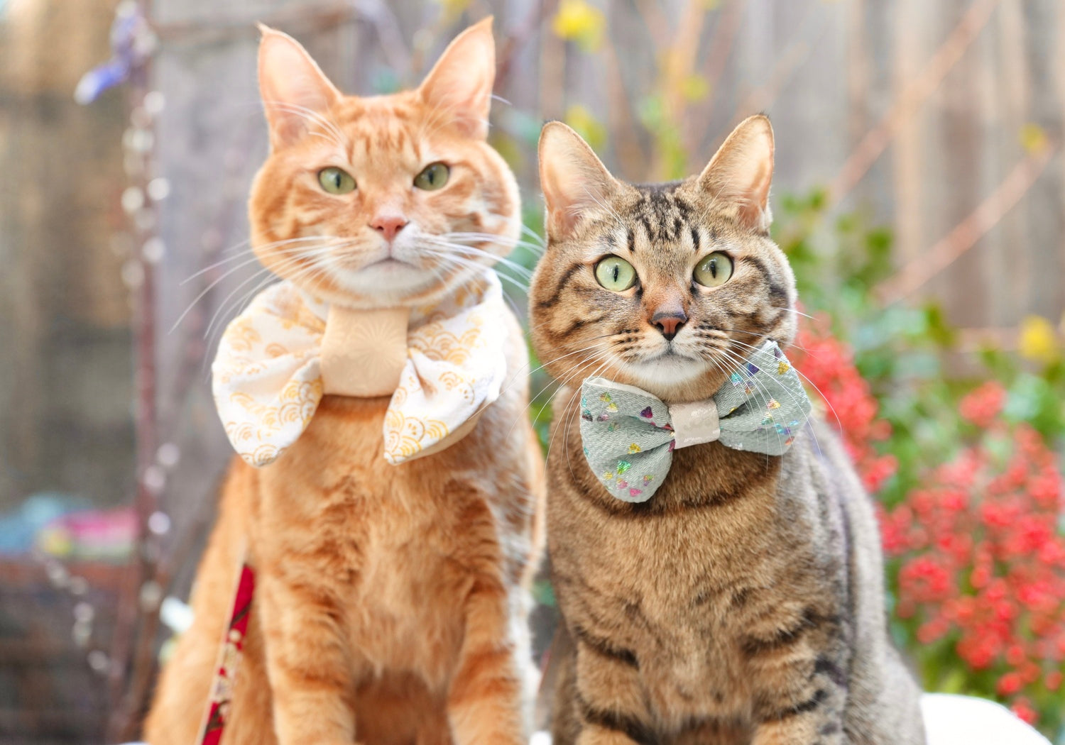 着物バンダナ | 着物風猫・犬用バンダナ 和の趣き - L&L Paws Japan