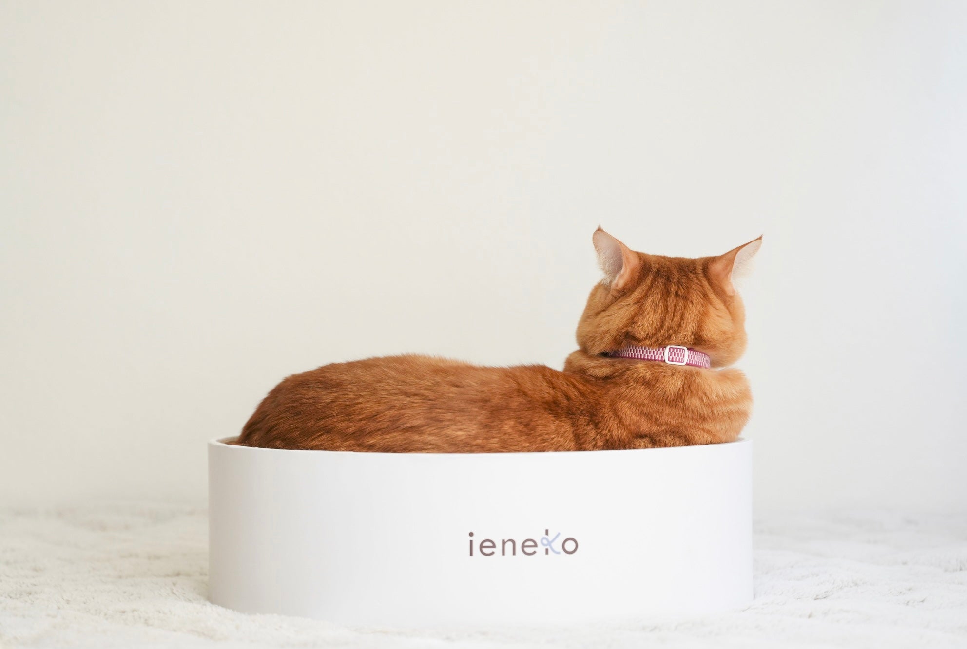 ieneko × L&L PAWS コラボレーション | 和柄ペットアクセサリー – L&L