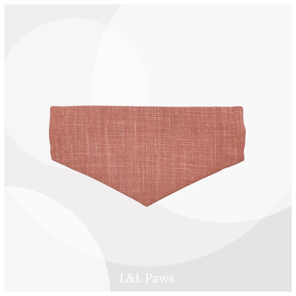 You're My Favorite! Red - Cute Cats - Mini Bandana