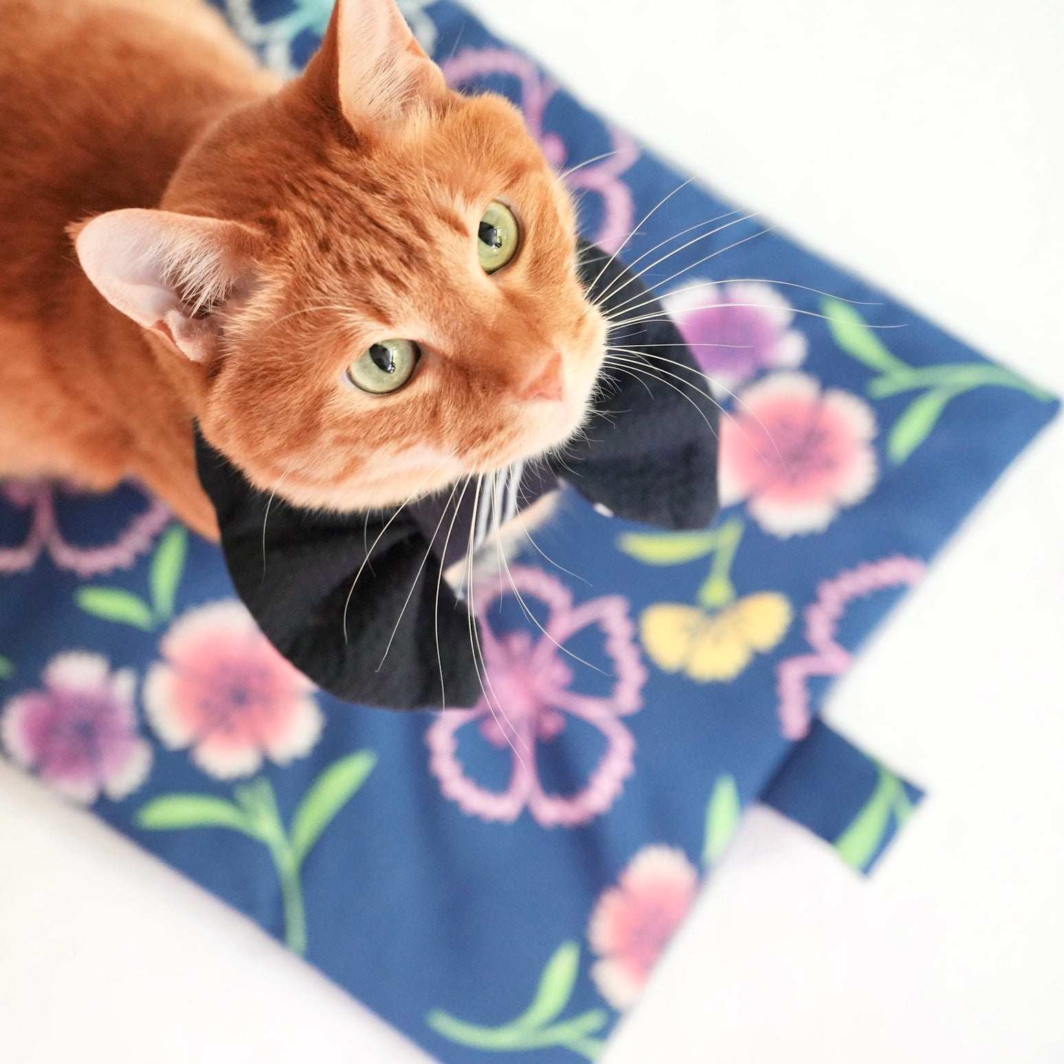 ペットの和マット