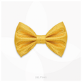 Silk Nishijin Obi-ji | Big Bow Tie | Golden