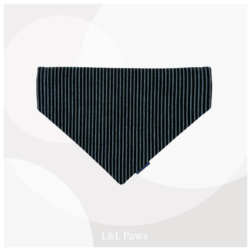 Sky 広い空 Enshu-Mentsumugi 遠州綿紬 - Authentic Bandana - Day 37a