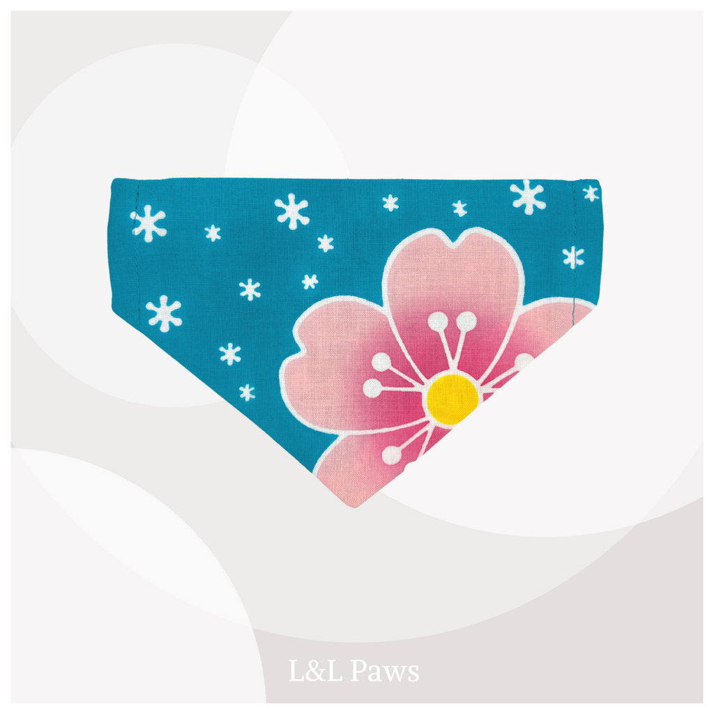 Sakura 桜 - Blue 青 - Bandana & Eco Bowtie Set  バンダナ＆エコ蝶ネクタイ