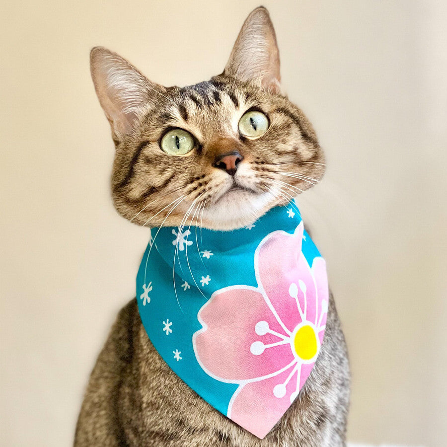 Sakura 桜 - Blue 青 - Bandana & Eco Bowtie Set  バンダナ＆エコ蝶ネクタイ