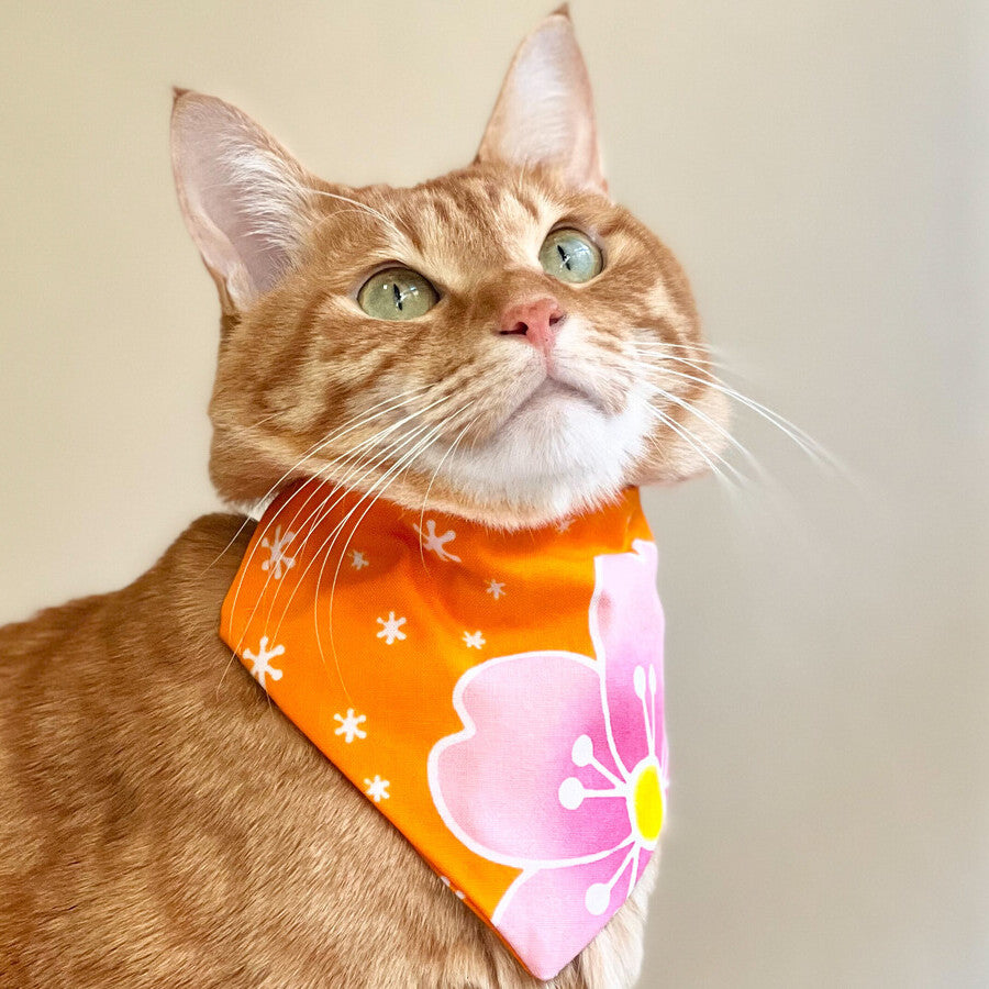 Sakura 桜 - Orange 橙 - Bandana & Eco Bowtie Set  バンダナ＆エコ蝶ネクタイ